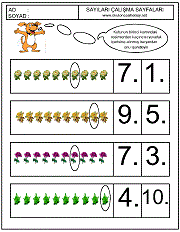 sıralama kavram çalışmaları
